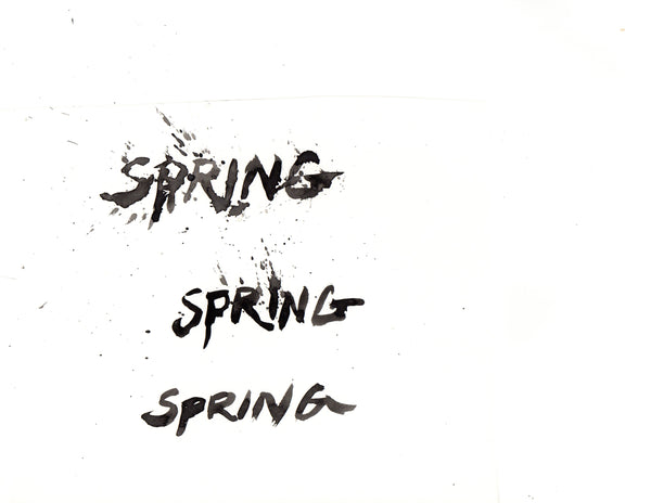 Squarriors "Spring" original logo art